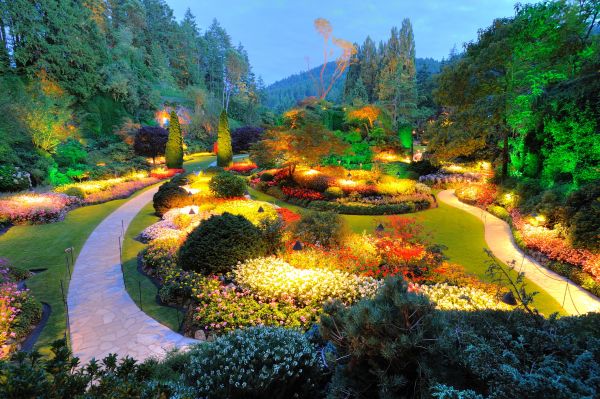 Landscape Electrical Service
