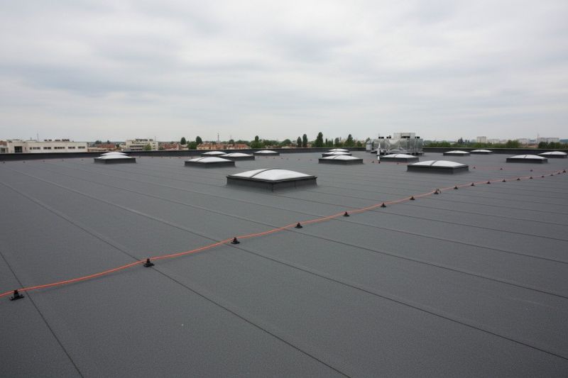 Commercial Light Replacement