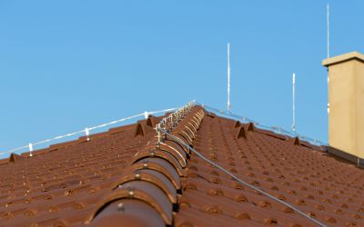 Lightning Protection Service detail